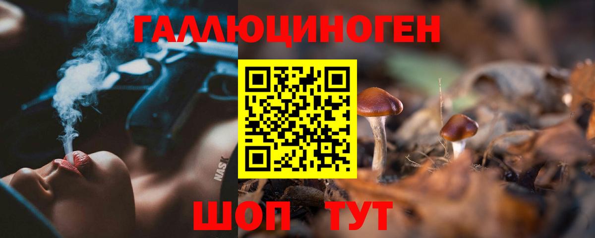 Нарткала  Псилоцибиновые грибы Cubensis  Псилоцибиновые грибы Magic Shrooms  Вход с VPN 